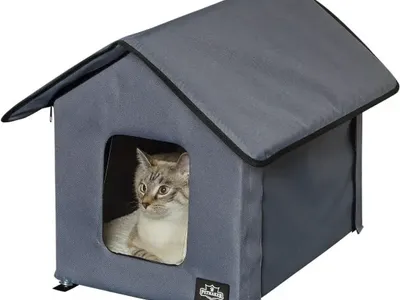 Heated cat houses