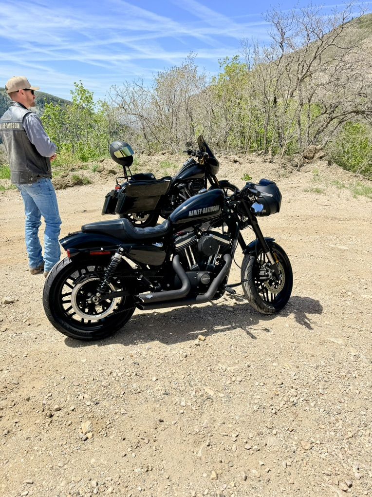 2016 Harley-Davidson Roadster 1200