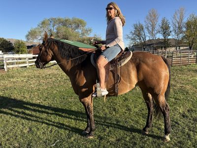 18 yr old Quarter horse mare
