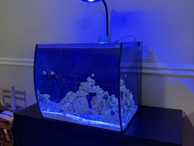 Fluval 15 gallon