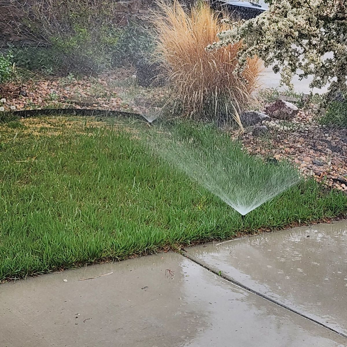 High Margin Sprinkler Business 1300 Repeat Clients