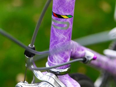 56cm Custom Painted Purple Paramount with Dura Ace parts