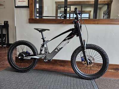 2025 Voltaic Voltaic Youth Electric Dirt Bike 20'' Flying Fox Compare to Stacyc New