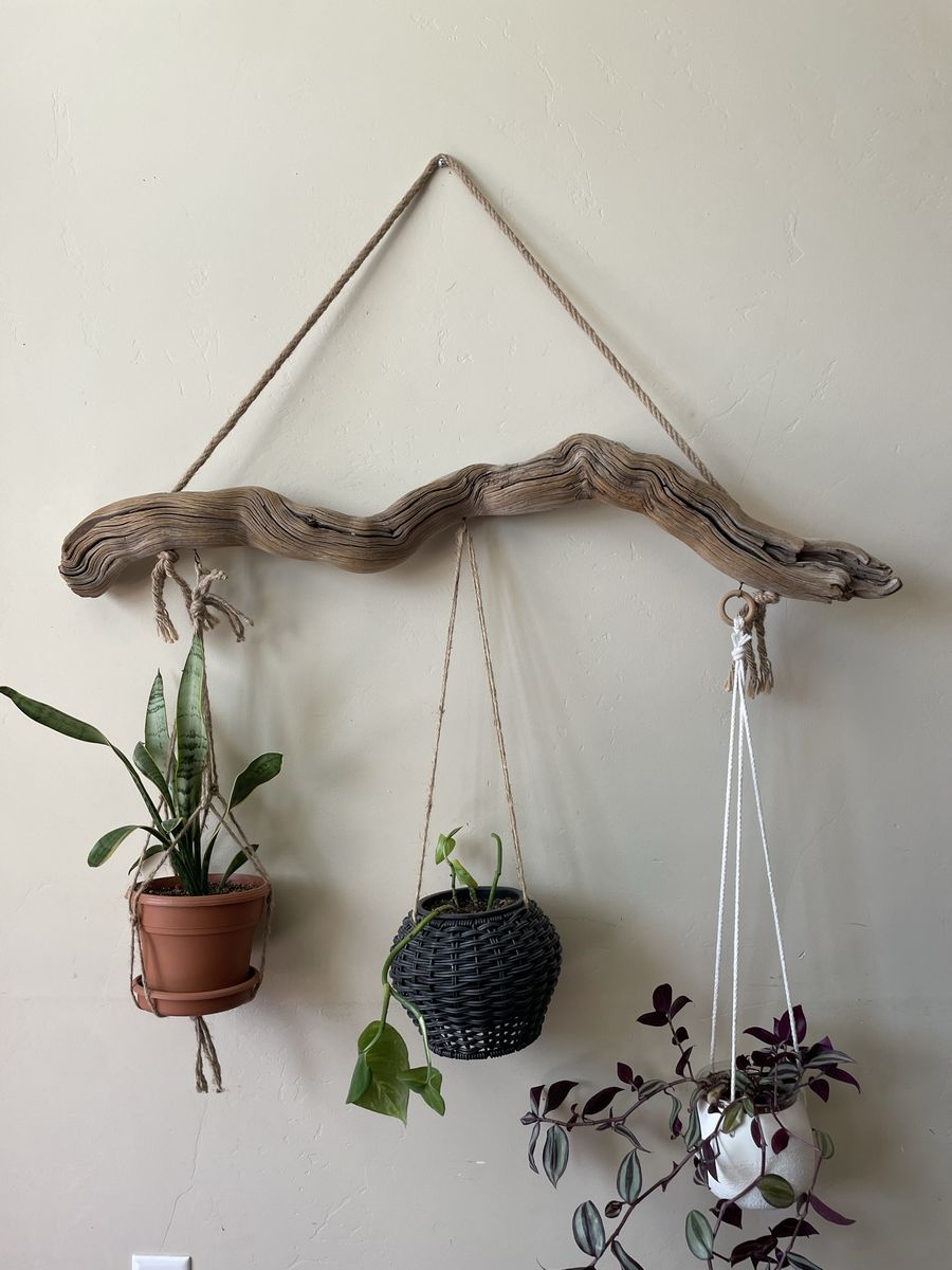 Driftwood plant hanger 41”