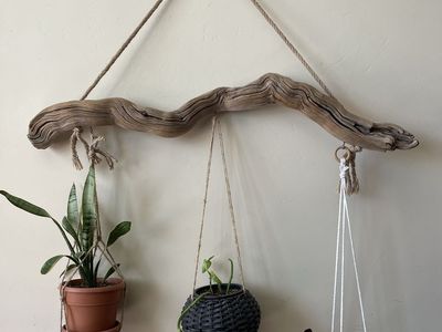 Driftwood plant hanger 41”