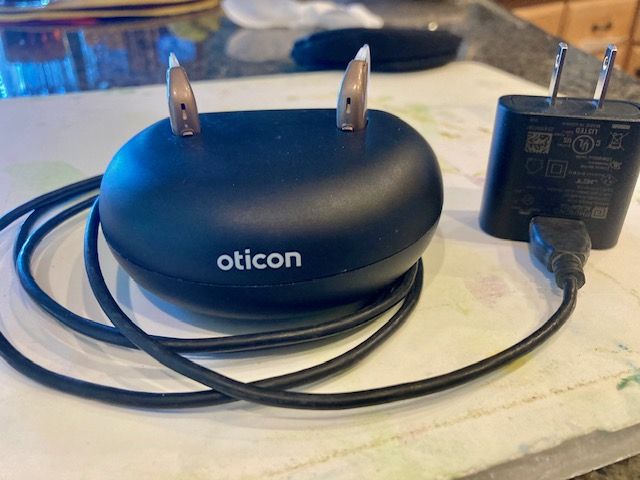 Pre-Owned Oticon More 1 miniRITE R Hearing Aids (Lft & Rht) W Charger & Case $500 OBO