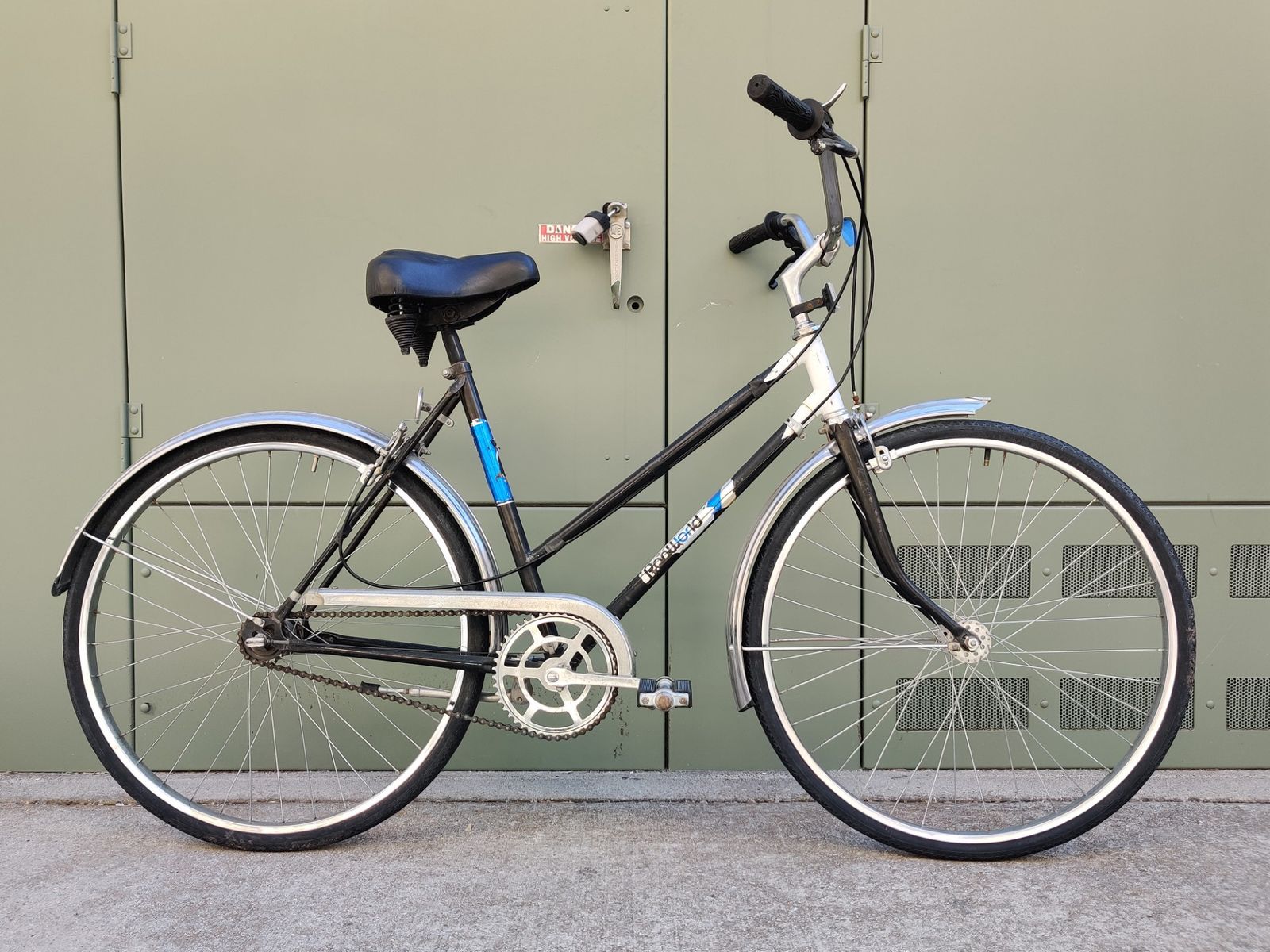 Panworld Stepthrough Bike SB21-25