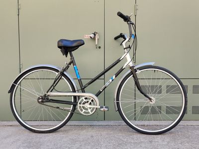 Panworld Stepthrough Bike SB21-25