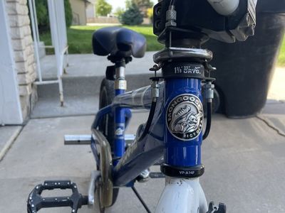 Mongoose ACE BMX Bike
