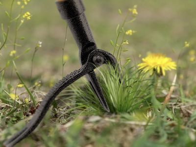 Garden Weed Puller Tool Weeder Dandelion Remover with Long Wooden Handle New