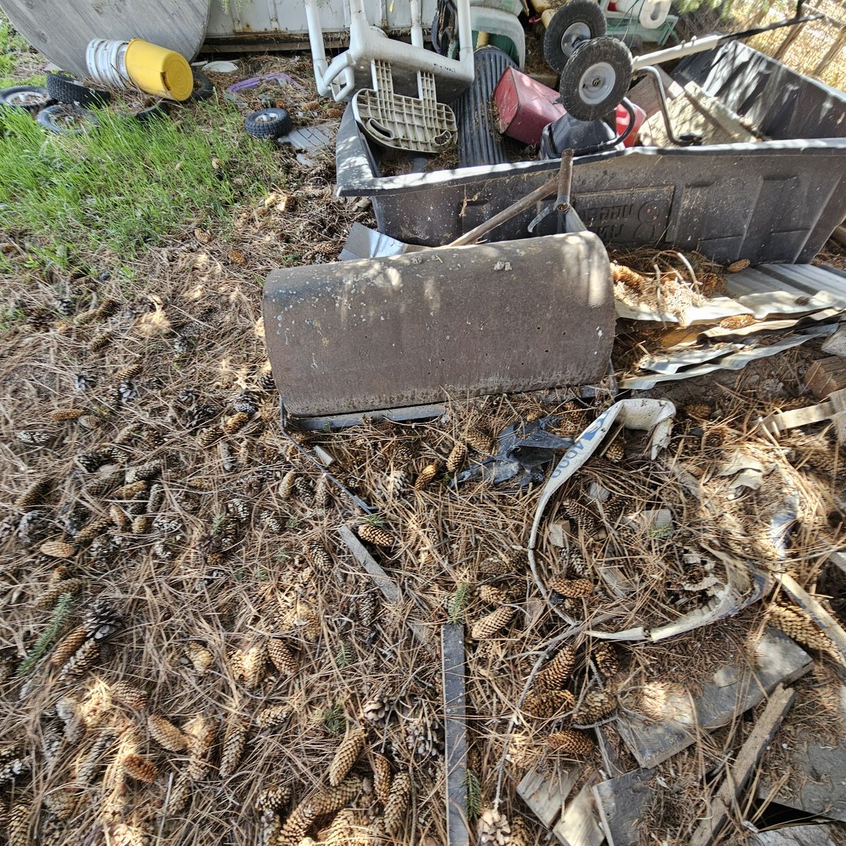 Main image 15