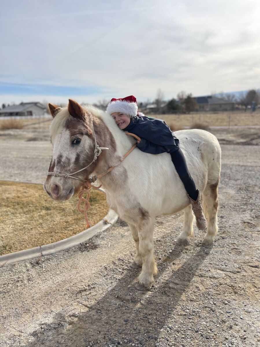 Kid safe Family pony