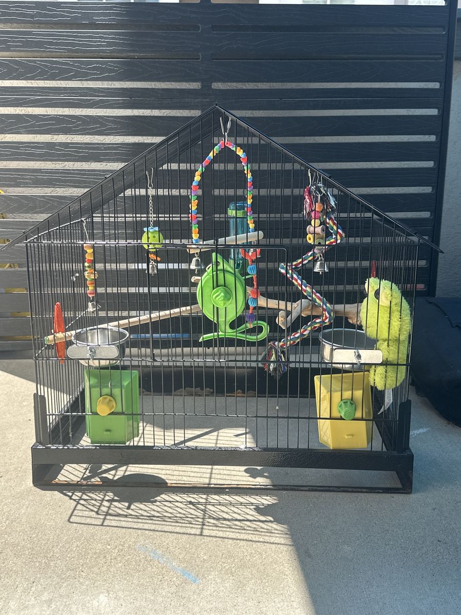 Bird cage