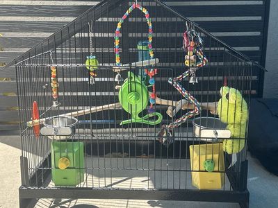 Bird cage