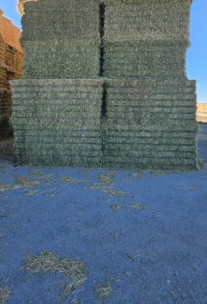 Alfalfa Hay $230 Ton DELIVERED