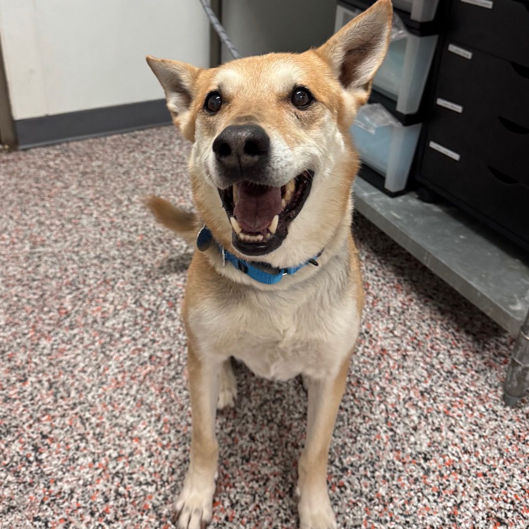 Hello my name is Tess