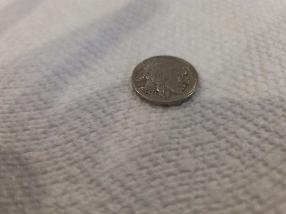 1930p Buffalo Nickel US Coin Collectible