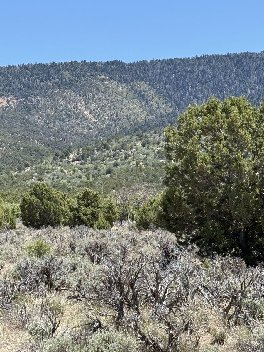 Main image 4