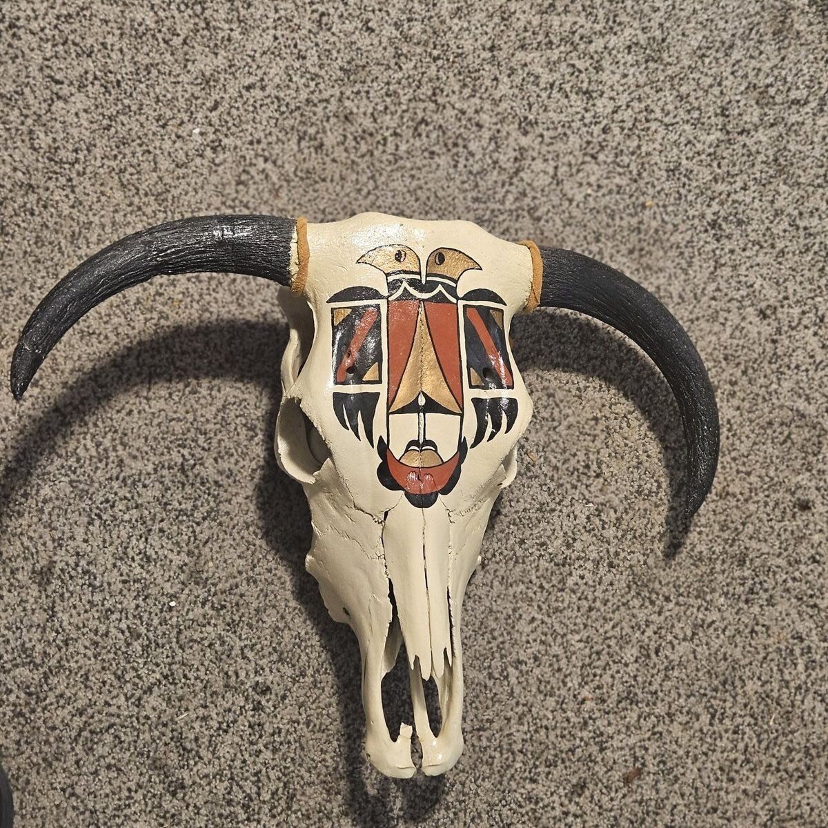 painted skull. cow