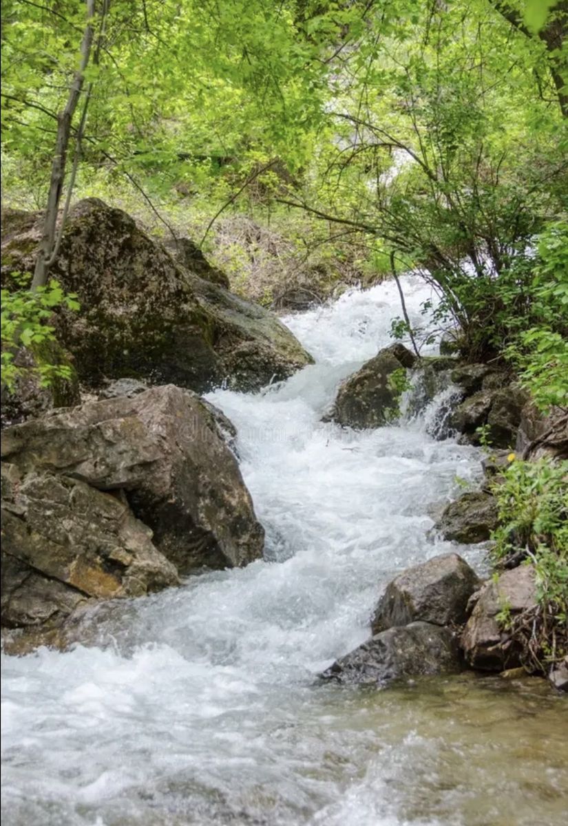 Main image 3