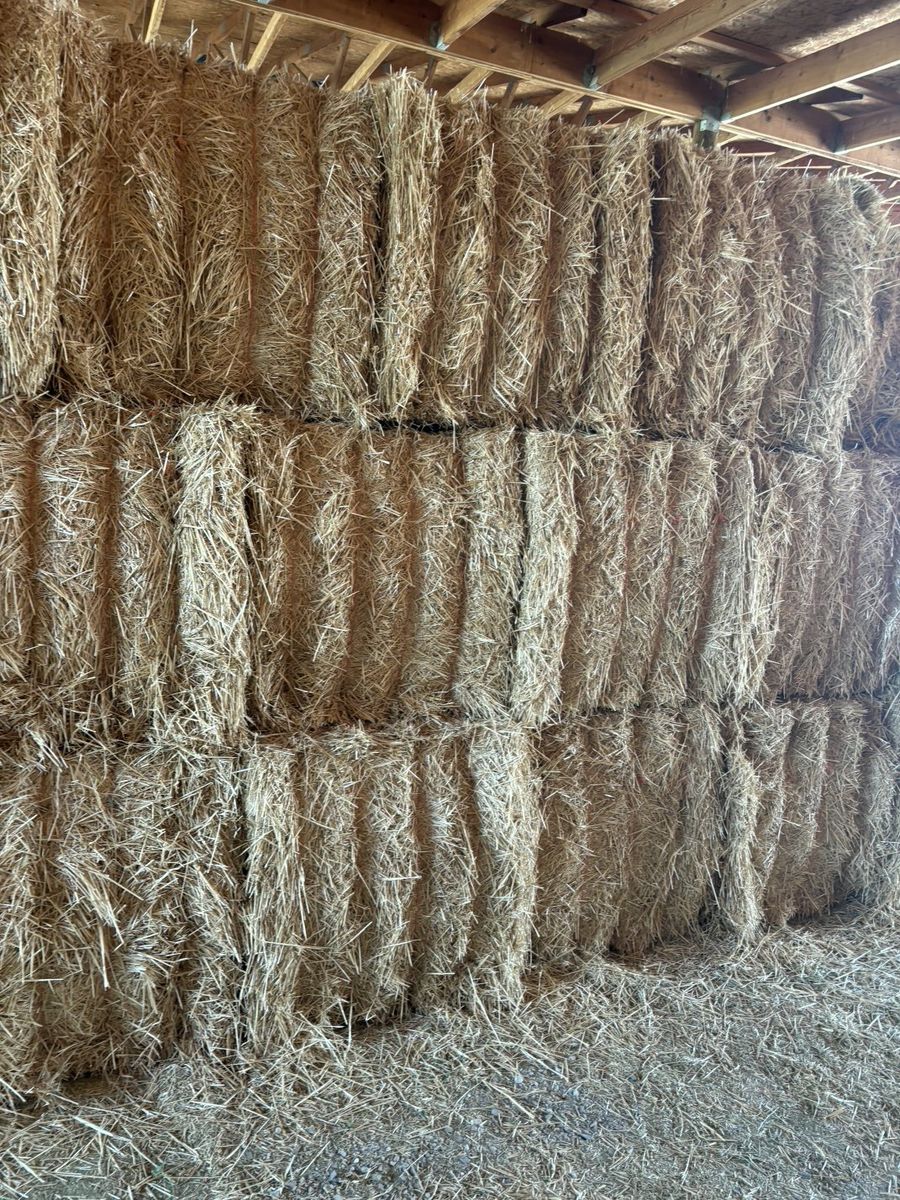 Straw Bales Barn Stored