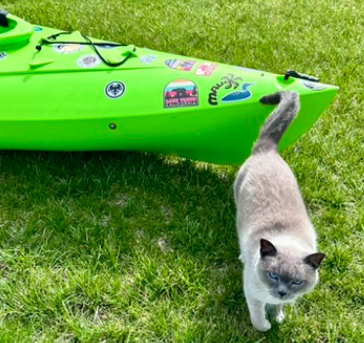 Bright Green Kayak Lifetime Glide Fishing