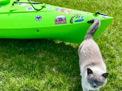 Bright Green Kayak Lifetime Glide Fishing