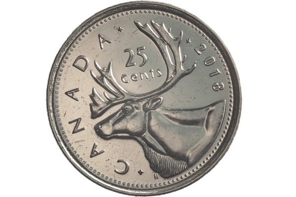 Main image 4