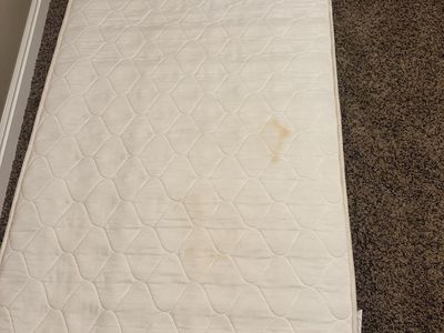 Free twin mattress