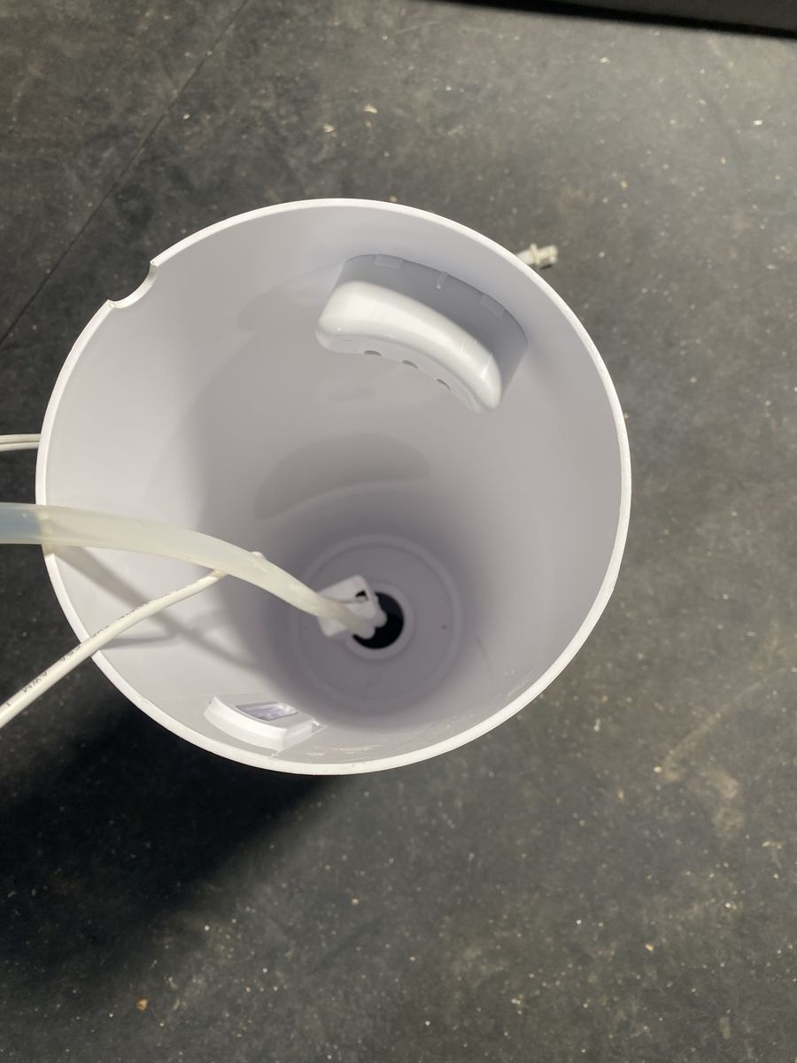 Main image 2