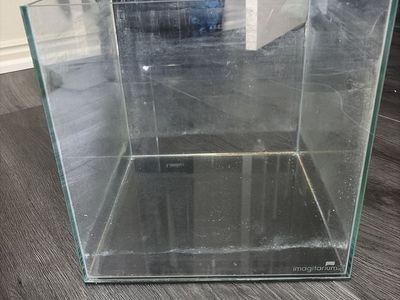 6 gallon cube glass tank