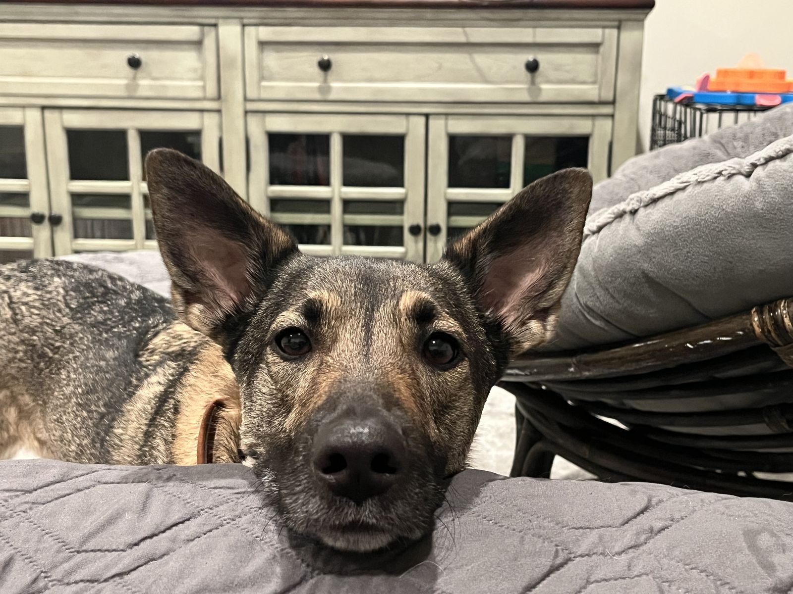 Freya, the World's Greatest Travel Companion