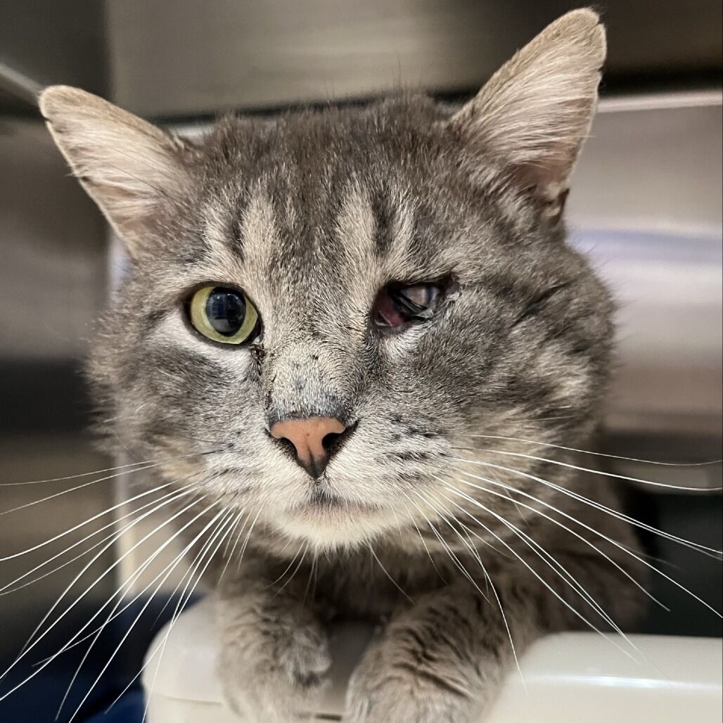 Hello my name is Buster