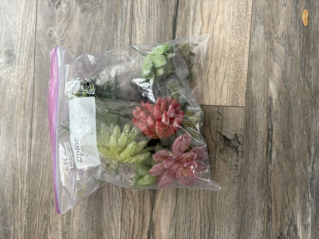 Fake Succulents