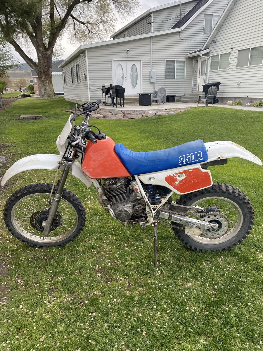 1987 xr250r