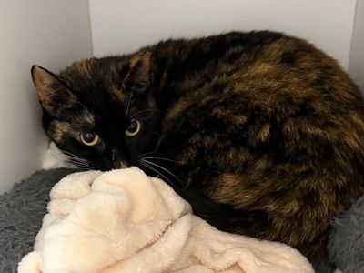 Hello my name is Rorie