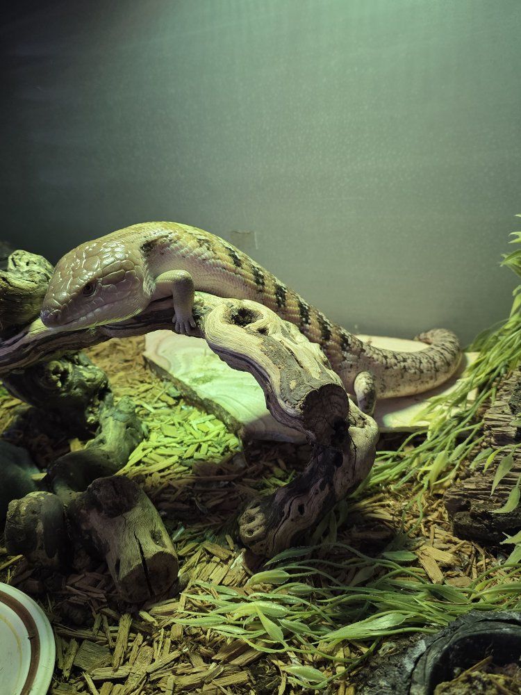 Main image 10
