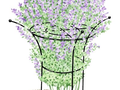 Gardeners Essex Plant Support Stand