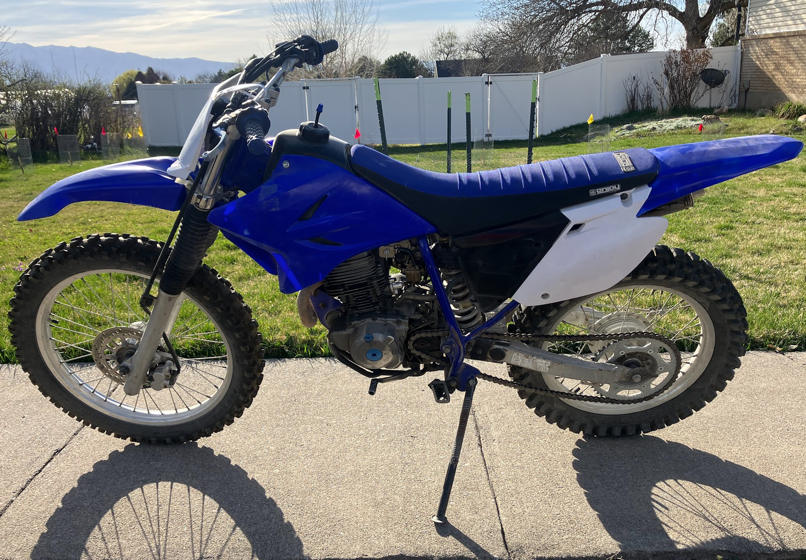 2007 Yamaha TTR230
