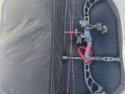 Compound hunting bow