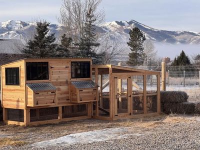 Custom Built Large Wooden Chicken Coop with Run and Nesting Boxes