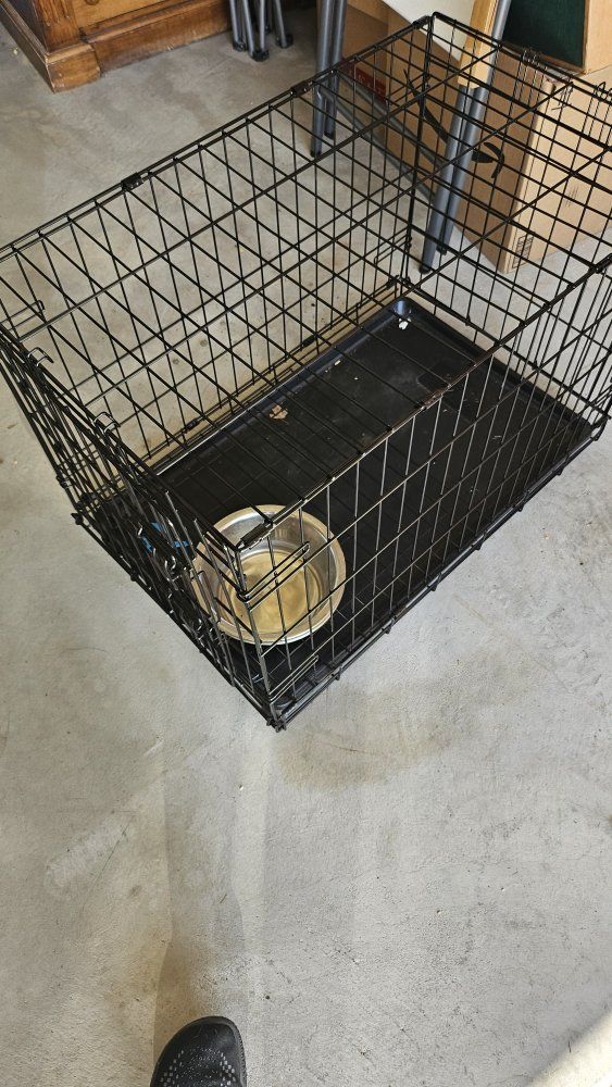 Dog crate 30$