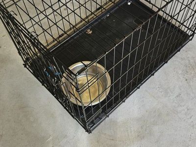 Dog crate 30$