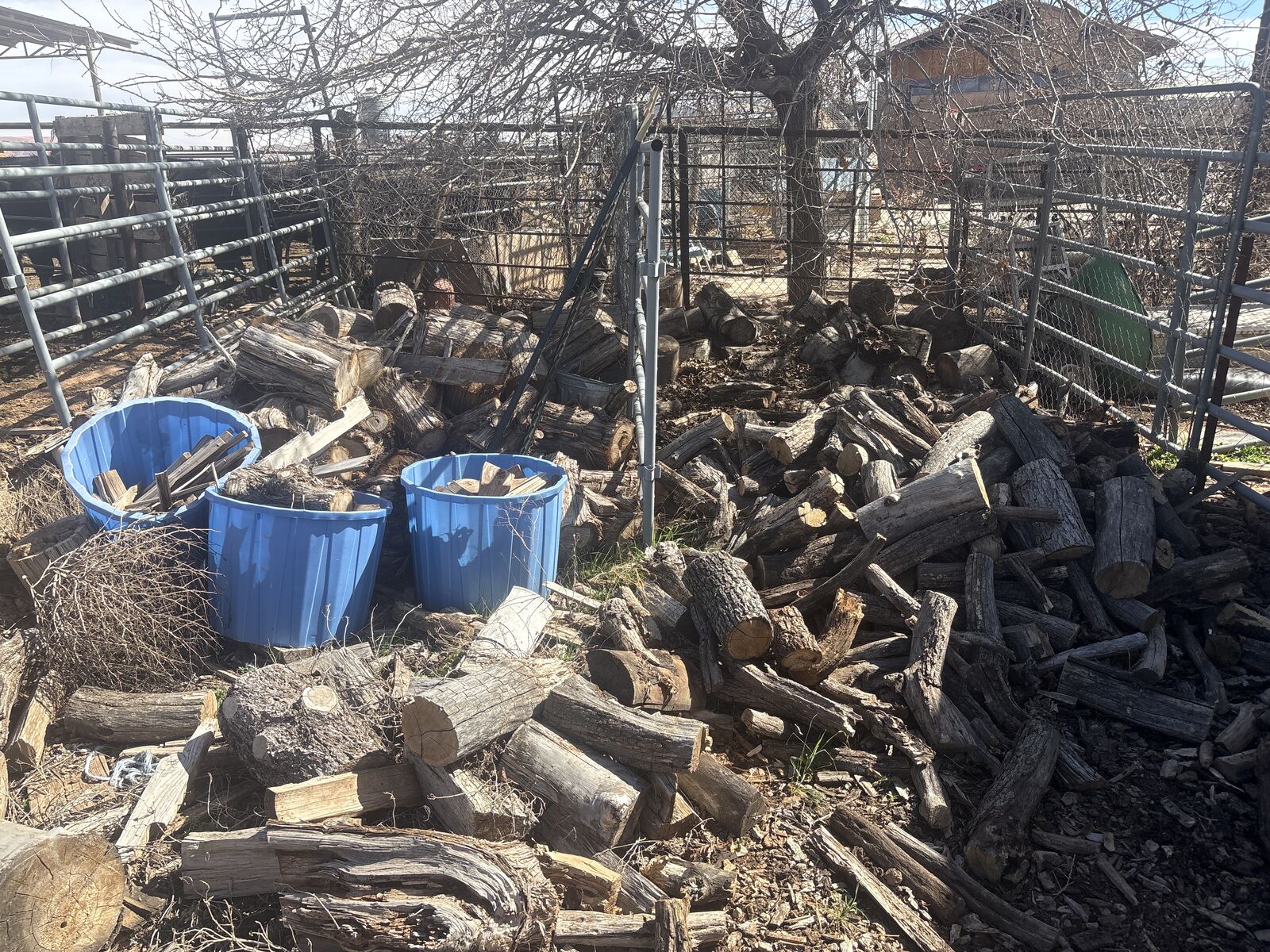 Firewood For Sale