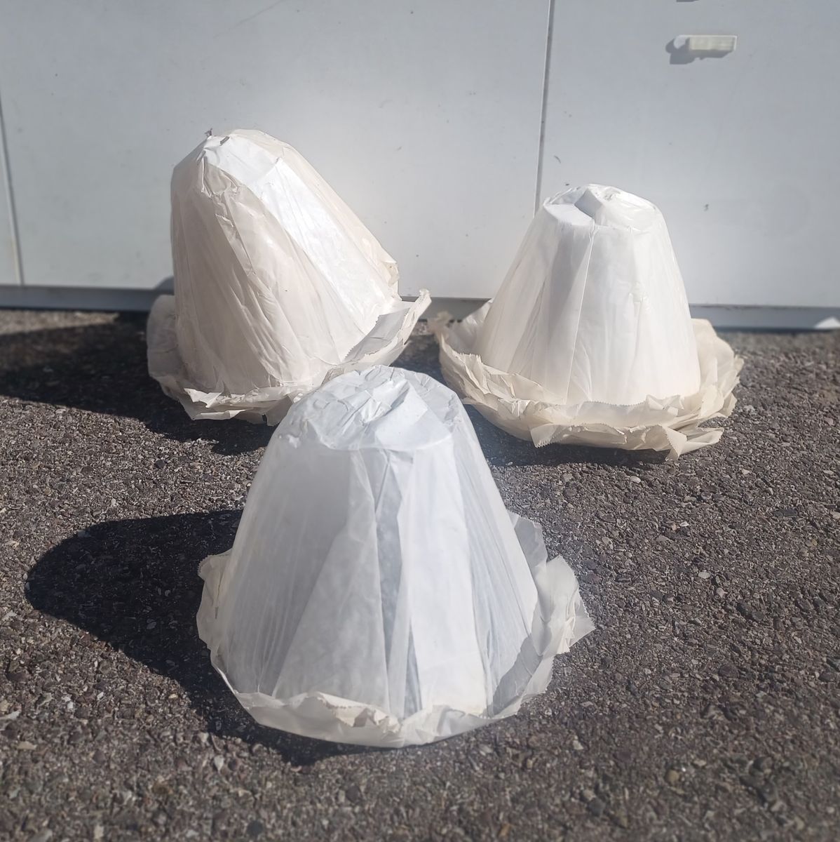 New!  Plant Starter Covers - Frost Protection Domes – Hot Caps - 12 count