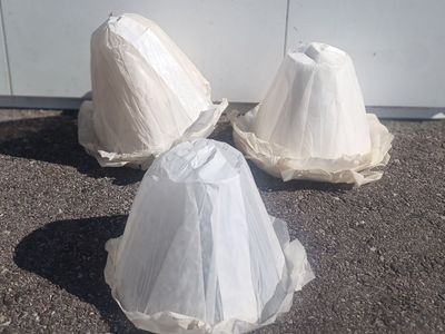 New! Plant Starter Covers - Frost Protection Domes – Hot Caps - 12 count