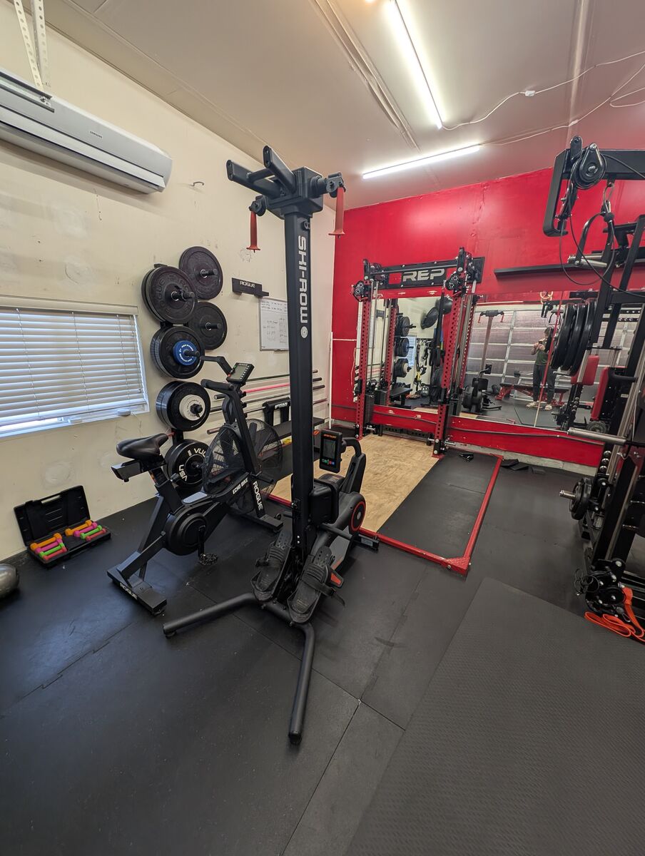 Ski-Row Power hybrid Rower