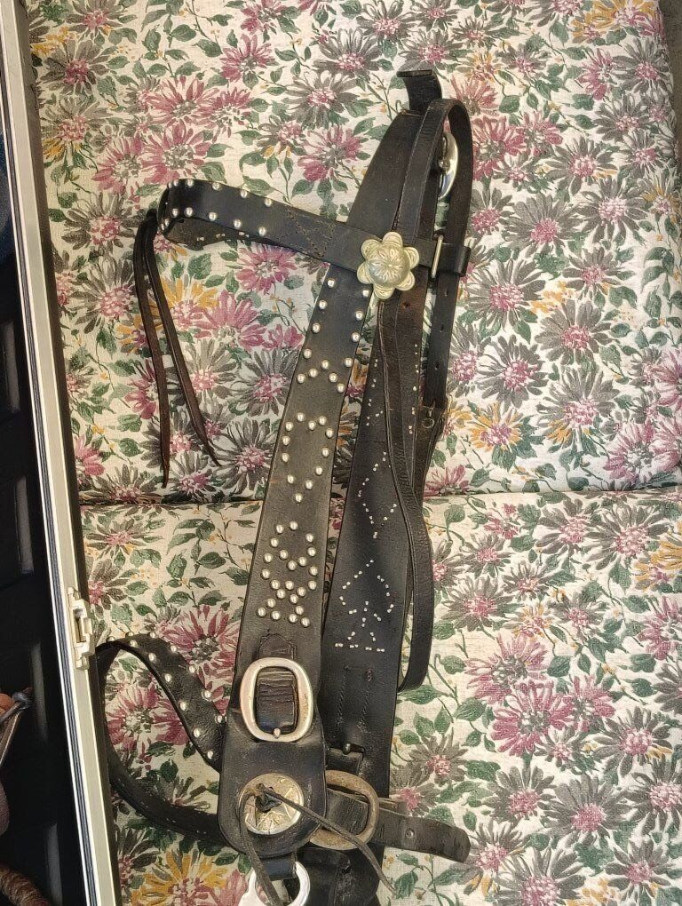 old headstall with high quality Spade bit
