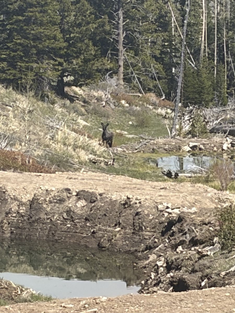 Main image 7