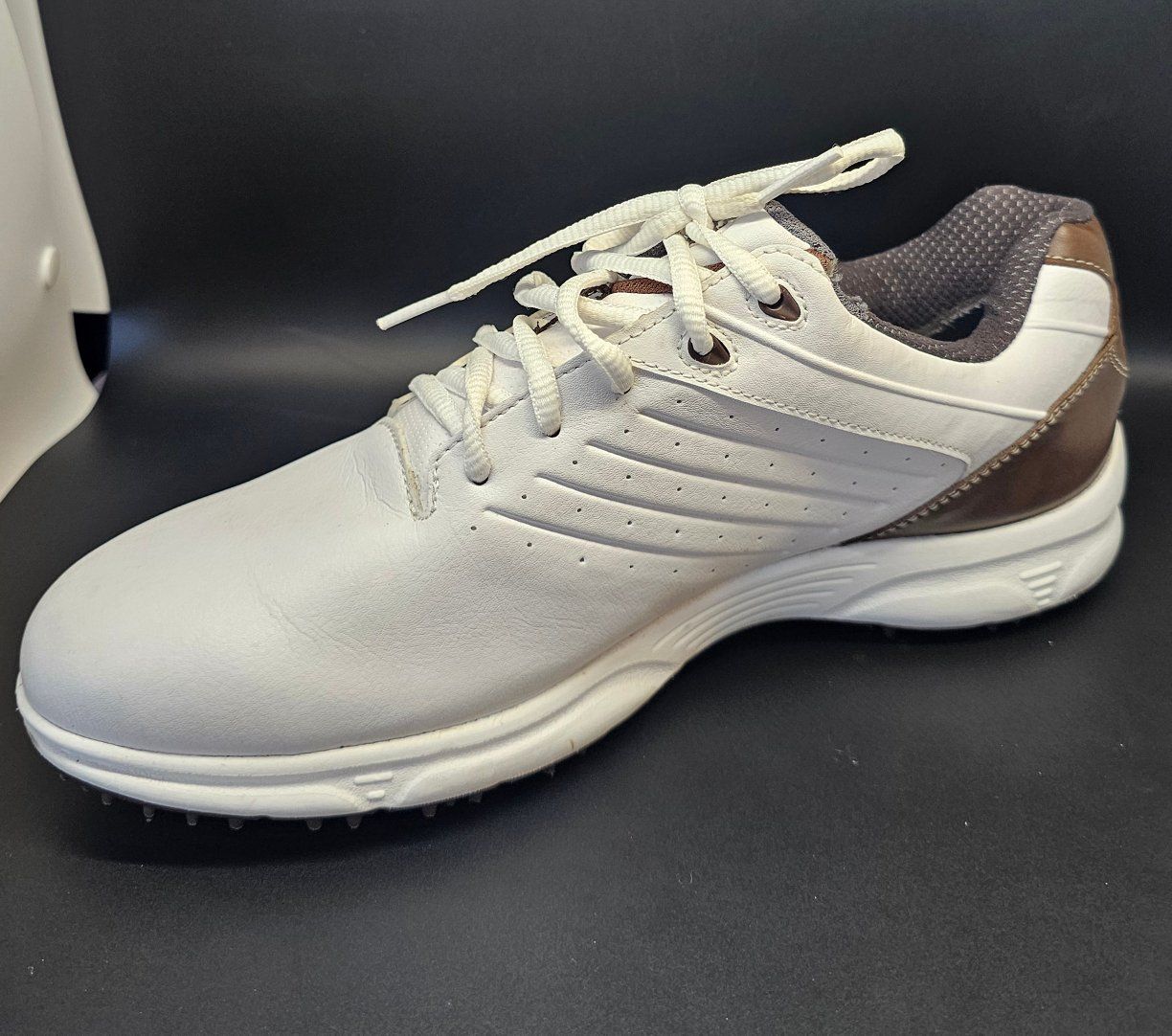 Footjoy ARC SL Golf Shoes